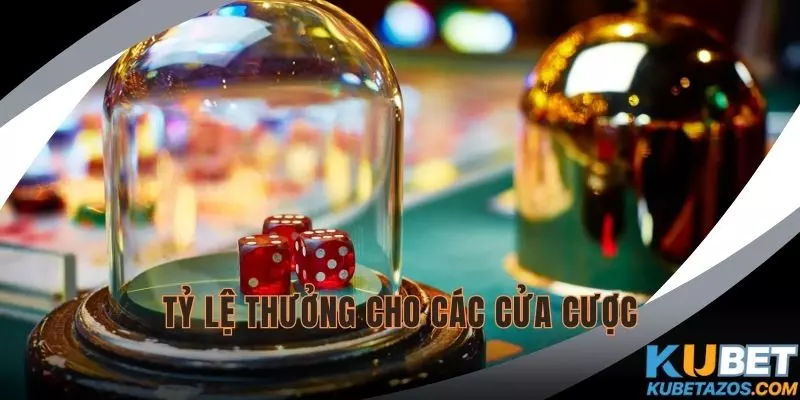 Tỷ lệ trả thưởng tương ứng cho các cửa cược